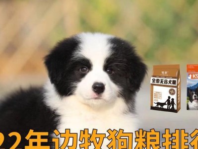 选择边牧成犬的最佳粮食（优质粮食如何满足边牧成犬的营养需求）