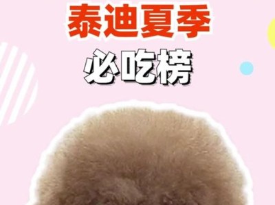 小泰迪的饮食指南（探索小泰迪喜欢吃的食物及其营养需求）