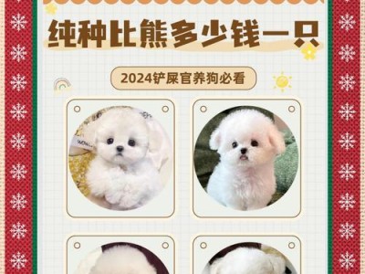 比熊成长过程中体重的变化（了解比熊成长阶段的体重变化规律）