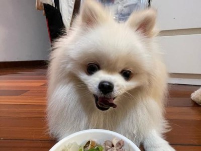 如何科学喂养拉布拉多犬（拉布拉多一天应该喂多少顿饭？）