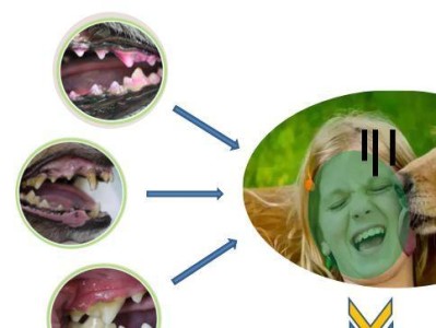 预防狗牙齿疾病的重要性（关爱宠物口腔健康，让狗牙齿更健康）
