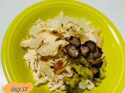 泰迪生宝宝后饮食需注意的重要事项（为泰迪妈妈们提供科学的饮食指导）