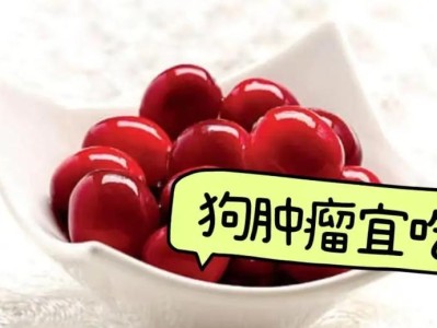 狗狗乳房肿瘤切除后的饮食指南（照顾康复狗狗的健康膳食）