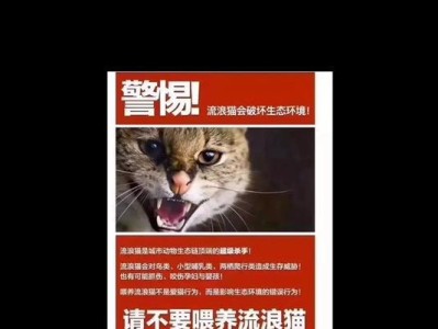 如何驯服流浪猫（流浪猫驯服的具体方法与技巧）