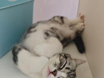 猫咪毛发干枯的原因及护理方法（让猫咪毛发亮泽的秘诀揭秘）
