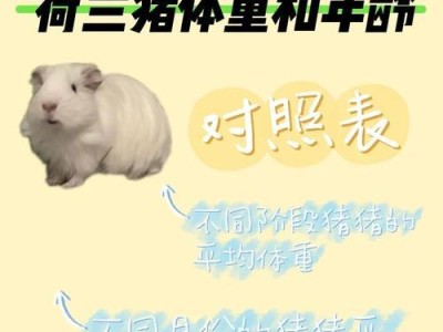 荷兰猪不喝水会引发的健康问题（荷兰猪的水分摄入对健康的重要性及不喝水时间长短的影响）