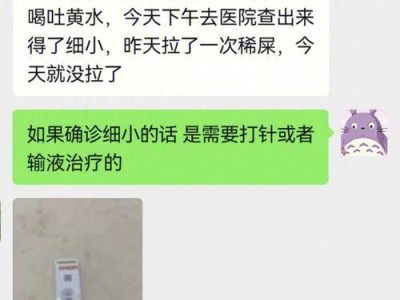 宠物得了细小病毒和犬瘟怎么办？（保护宠物免受病毒侵害，）