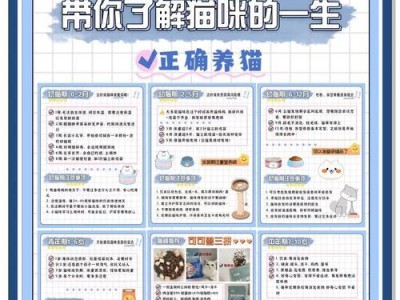猫咪饮食的不同阶段及其影响（了解猫咪在不同阶段的饮食需求，）