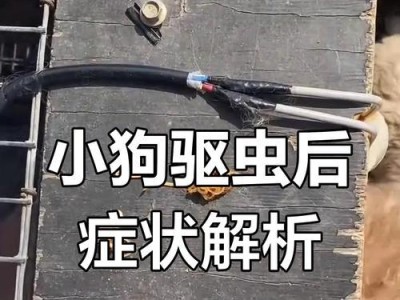 小狗喂驱虫药多久拉虫？（有效驱虫需要等待的时间是多久？驱虫药效果如何？）