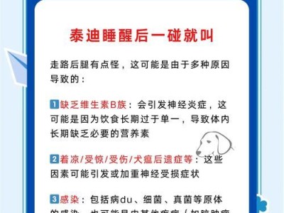 贵宾犬常见症状的预防与治疗（了解贵宾犬常见症状的关键是预防和治疗）
