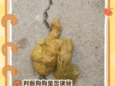 如何保持狗狗正常排便？（预防便秘的关键方法分享）