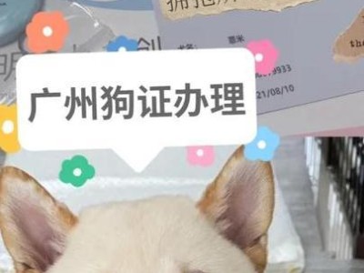 宠物医院办理狗证的步骤（了解宠物狗证的重要性及办理流程）