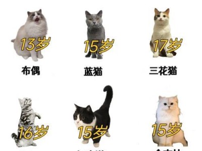 猫咪的寿命究竟有多长？（揭秘猫咪寿命的奥秘，让你了解猫咪的健康生活）