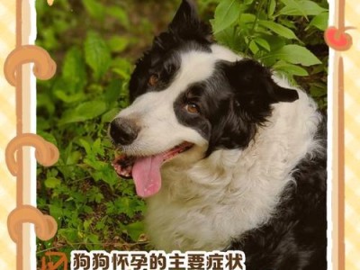 狗的怀孕周期及分娩过程解析（狗的怀孕期、分娩期、哺乳期和育儿期的具体时长及特点）