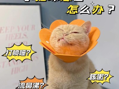 小猫洗完澡感冒多久会？（小猫感冒的原因及预防措施）
