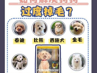 治疗泰迪犬的皮肤病（有效控制和预防泰迪犬皮肤病）