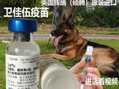 辉瑞五联疫苗预防多种常见传染病（保护您的健康，预防多重风险）