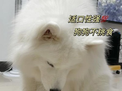 如何避免萨摩犬掉毛问题（选择正确的饮食是关键）
