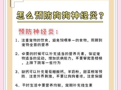 狗狗伤风的症状详解（如何辨别狗狗是否伤风）