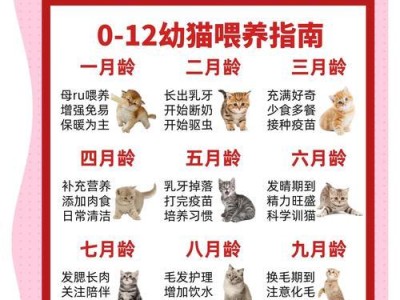 小猫咪的哺乳期（探讨小猫咪从出生到开始吃奶的发展过程及关键因素）