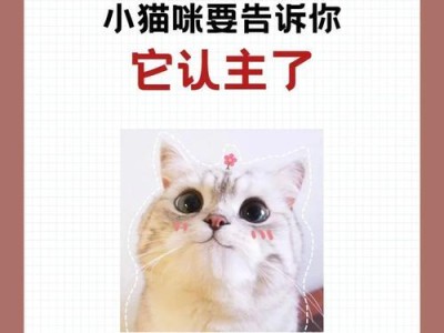 让你的猫咪亲人如初！（简单方法培养黏人小猫咪，快来试试吧！）