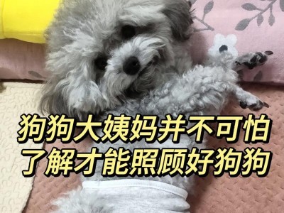 狗狗来月经了怎么办？-（狗狗月经期的症状和护理方法-）