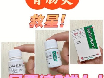 小猫肠胃炎的治疗方法（了解小猫肠胃炎的症状、药物治疗及预防措施）