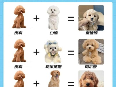 世界上最贵的狗狗是什么？（揭开最贵狗狗排行榜，豪华中的豪华）