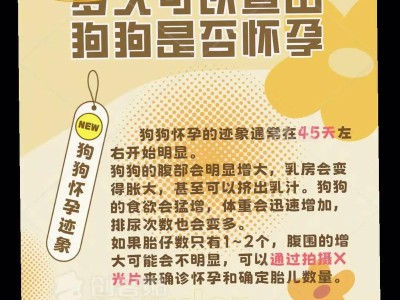 狗狗幼犬期是多久？（解析幼犬期的关键发展阶段）