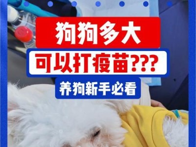 小奶狗多久能去宠物店？（了解适合小奶狗前往宠物店的时机）