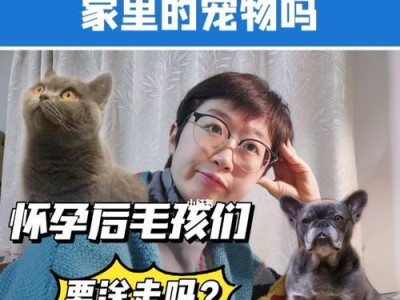 孕期不能养宠物？一文了解孕妈妈与宠物的关系（15个原因告诉你为什么怀孕期间不能养宠物）