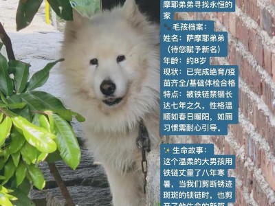 萨摩耶的毛发生长周期及相关护理方法（探究萨摩耶的毛发生长周期和如何正确护理）