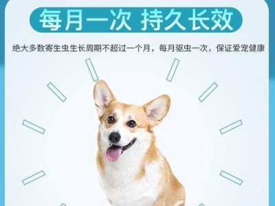 以泰迪体外驱虫多久洗澡？（为泰迪宠物选择合适的洗澡频率）