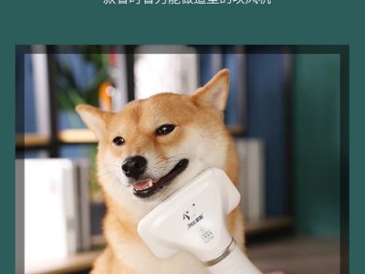 狗狗拉毛保持多久？（了解毛发生长周期）