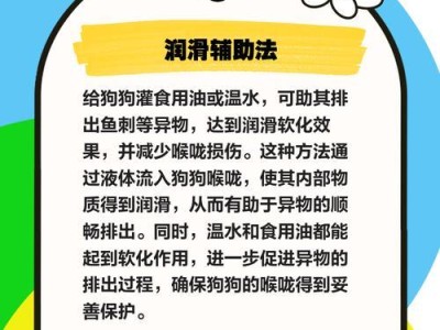狗狗吃鱼刺后的症状及处理方法（如何预防狗狗食用鱼刺引发的健康问题）