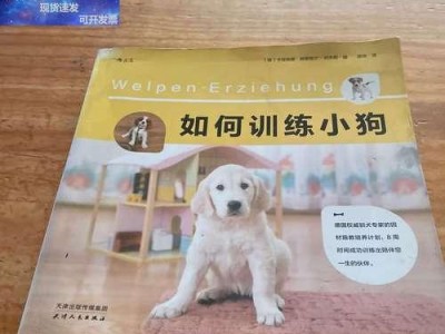 如何训练狗狗不乱嚎叫？（6点处理方法助你摆脱狗狗乱叫之苦）