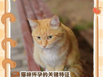 猫猫孕期（探索猫咪孕期的奥秘，了解母猫的怀孕生产过程）