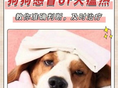 为什么狗狗会怕热？（探究狗狗对炎热天气的反应机制）