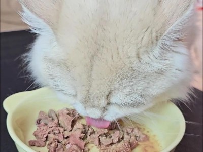 猫的饮食需求及可供选择的食物种类（探索适合猫咪的饮食世界，满足它们的味蕾和健康）