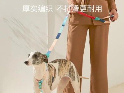 遛狗如何让你的宠物更健康（了解正确的遛狗方法，使你的狗狗保持良好健康状态）