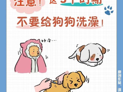 以狗买来多久能洗澡？（合适的时间安排给新宠物洗澡，关键是什么？）