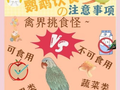 鹦鹉的饮食范围与注意事项（探索鹦鹉适宜食物，让它们健康成长）