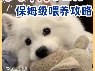 替代狗奶的健康饮品（寻找健康宝宝最佳食品替代方案）