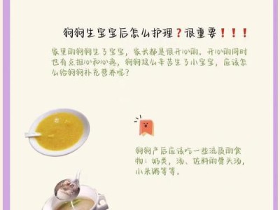 小狗的消化过程及时间（揭秘小狗消化食物的奥秘）