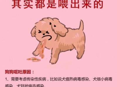 如何照顾5个月大的狗狗（关爱小狗，让它健康快乐成长）