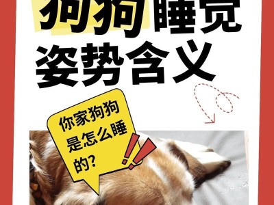 西施犬的睡眠习惯（探寻西施犬的深度睡眠、睡眠时间、影响因素及解决办法）