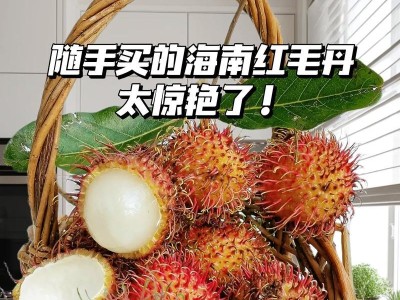 探索长毛水果的神奇魅力（长毛果实中的自然奇迹与健康好处）