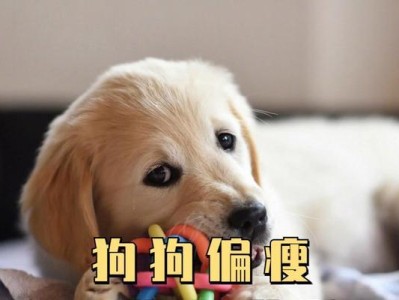 小狗狗三个月以下的饮食指南（培养健康的幼犬，从合理饮食开始）