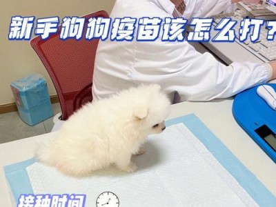狗疫苗在常温下的失效期限究竟是多久？（探索狗疫苗在不同温度下的保质期和存储建议）