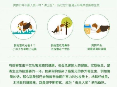 小狗服用驱虫药后多久会排出虫体？（了解小狗驱虫药的作用和排虫时间）